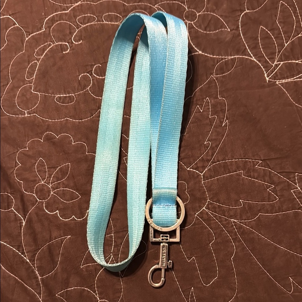 Harveys Light Blue Tie